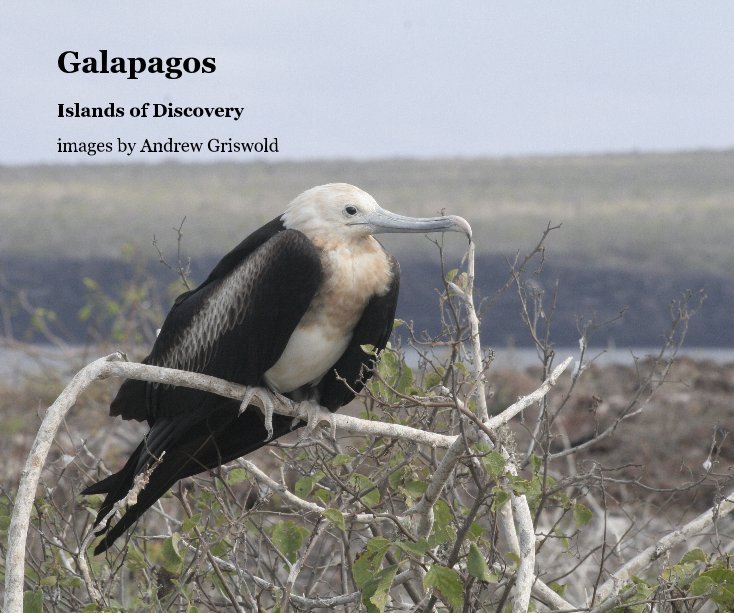 Ver Galapagos por images by Andrew Griswold