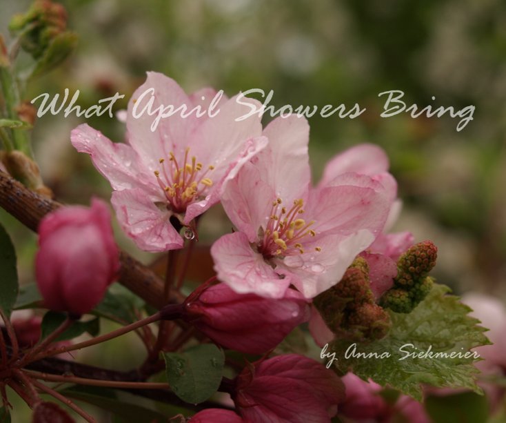 View What April Showers Bring by Anna Siekmeier