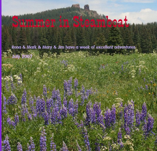 View Summer in Steamboat by Rona Daniels