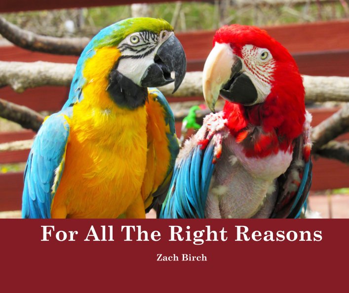 View For All The Right Reasons by Zach Birch