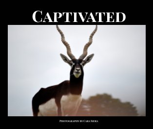Captivated book cover