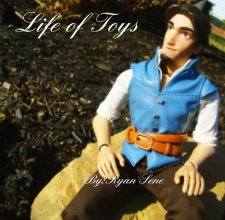 Life of Toys book cover