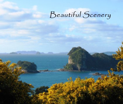 Beautiful Scenery book cover