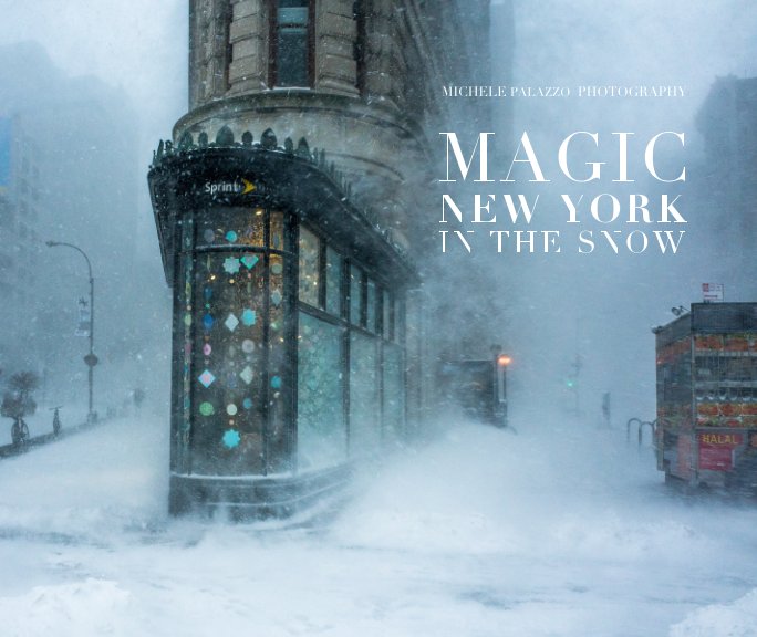 View Magic New York in the Snow by Michele Palazzo