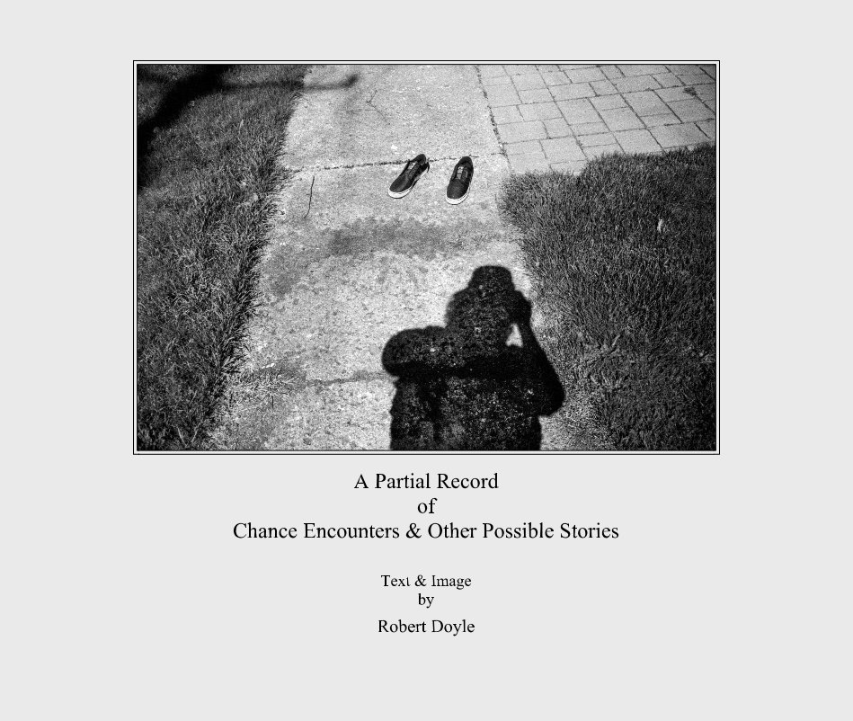 View A Partial Record of Chance Encounters and Other Possible Stories by Robert Doyle