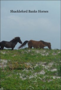 Shackleford Banks Horses book cover