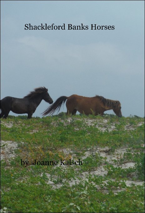 View Shackleford Banks Horses by Joanne Kalsch