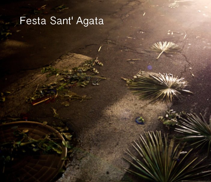 View Festa Sant' Agata by Werner Mansholt and others