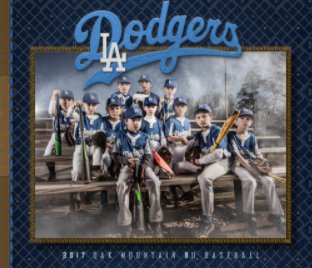 2017 Dodgers Baseball Season book cover
