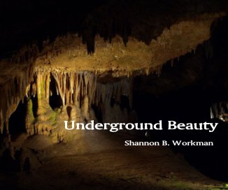 Underground Beauty book cover