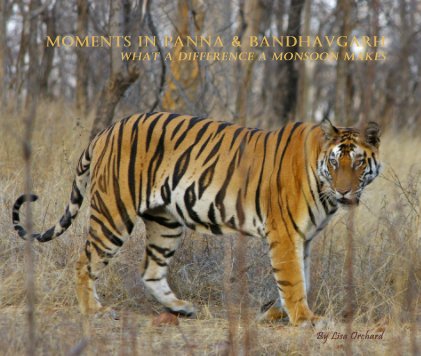 Moments in Panna & Bandhavgarh book cover