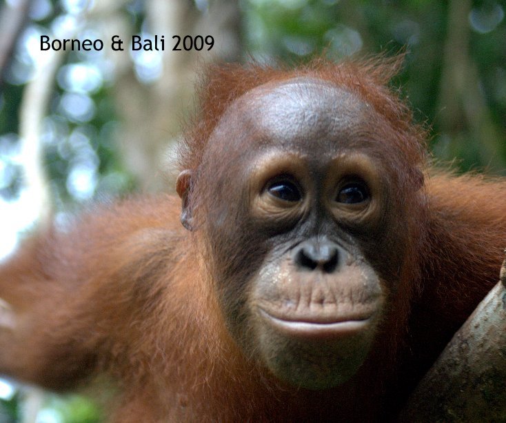 Ver Borneo & Bali 2009 por Hilde