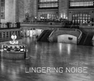 LINGERING NOISE book cover