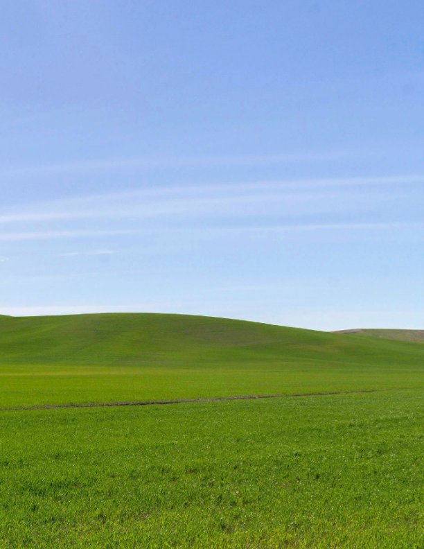 Bekijk Land With Short Thick Grass op Coretta Weaver