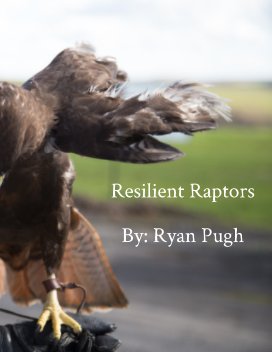 Resilient Raptors book cover