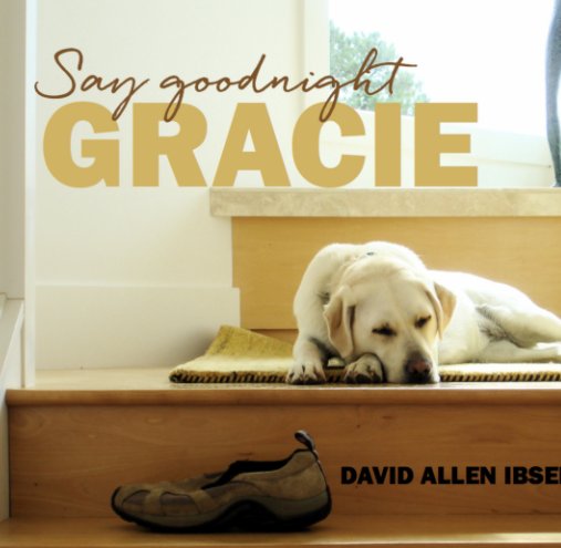 View Say Goodnight Gracie by David Allen Ibsen