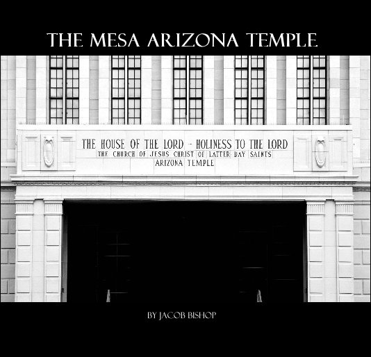 View The Mesa Arizona Temple by Jacob Bishop
