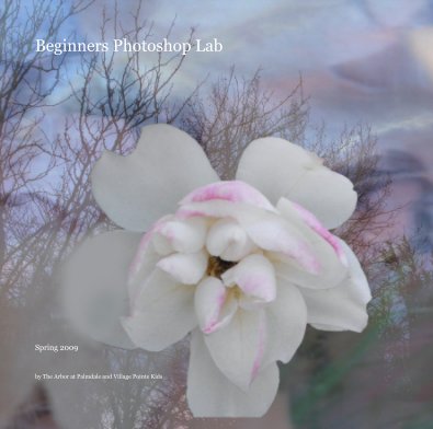 Beginners Photoshop Lab book cover