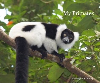 My Primates book cover
