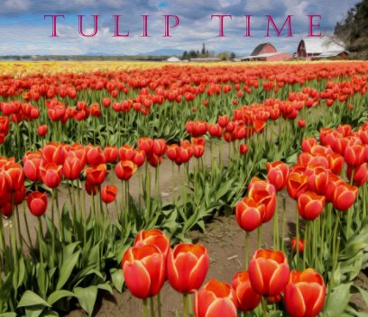Tulip Time in La Conner book cover