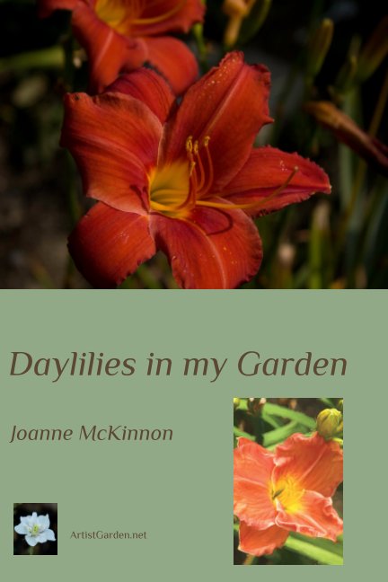 Visualizza Daylilies in my Garden di Joanne McKinnon