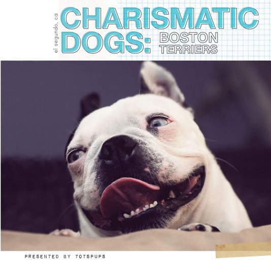 View Charismatic Dogs by TOTSPUPS.com