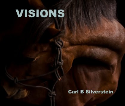 VISIONS book cover