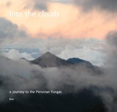 Into the clouds book cover