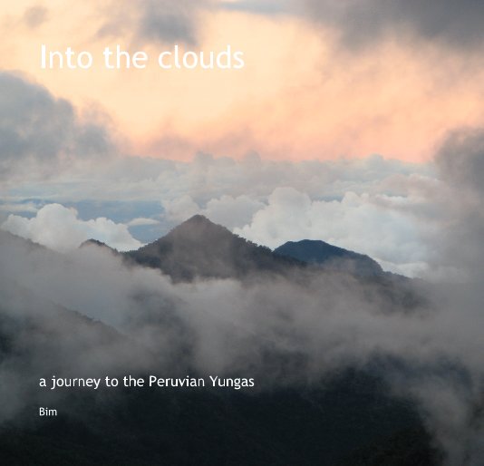 View Into the clouds by Bim