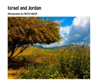 Israel and Jordan book cover