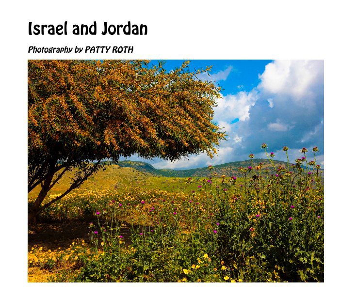 View Israel and Jordan by Patty Roth
