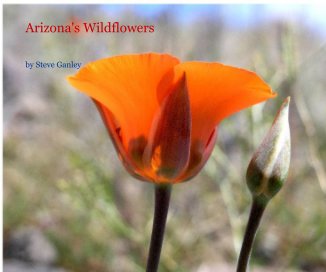 Arizona's Wildflowers book cover