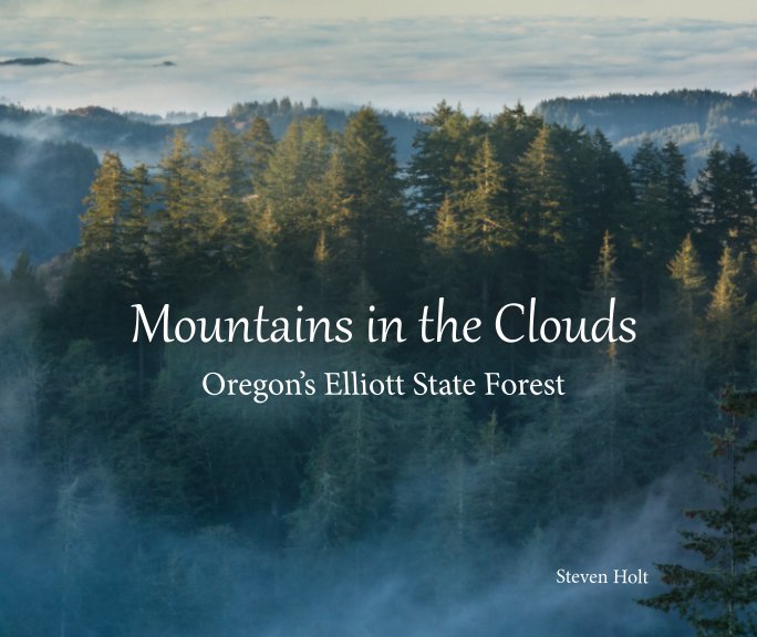 View Mountains in the Clouds Oregon's Elliott State Forest by Steven Holt