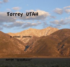 Torrey UTAH book cover