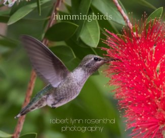 hummingbirds book cover