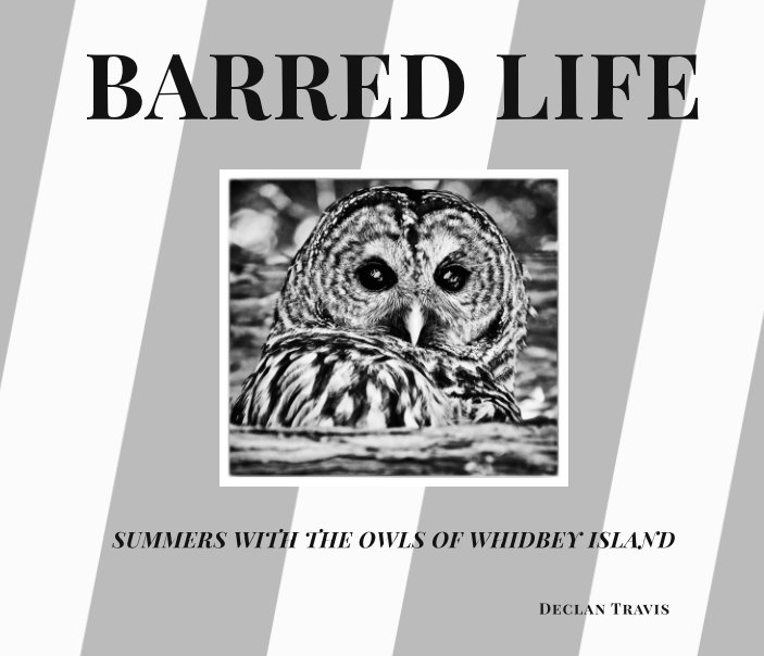 View Barred Life by Declan Travis