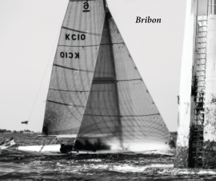 Bribon (Gallant) book cover