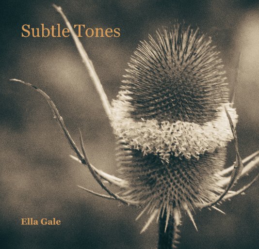 View Subtle Tones by Ella Gale
