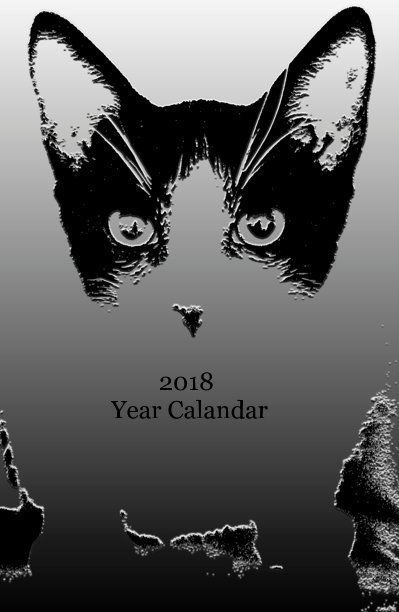 Ver 2018 Year Calandar por Karen Silva