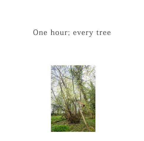 Ver One hour; every tree por Jim Lloyd