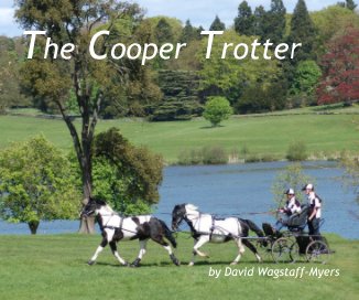 The Cooper Trotter book cover