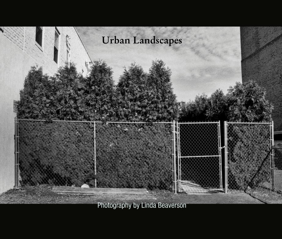 Visualizza Urban Landscapes di Linda Beaverson