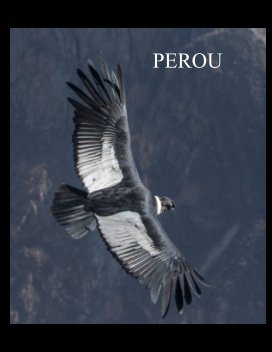Pérou 2016 book cover