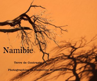 Namibie book cover
