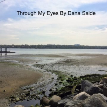 View Through My Eyes by Dana Saide
