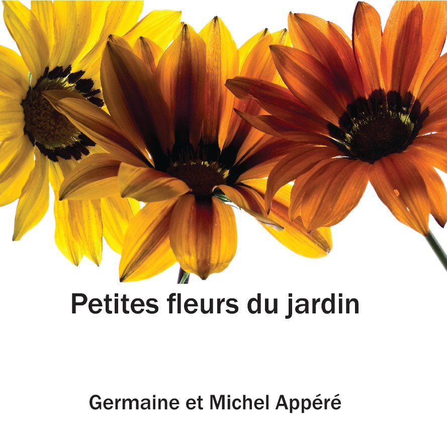 View petites fleurs du jardin by Germaine et Michel APPERE