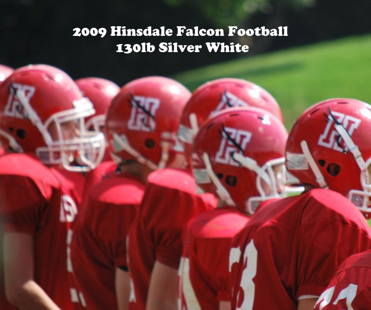 View 2009 Hinsdale Falcon Football 130lb Silver White by Beth Nelson-Hernandez