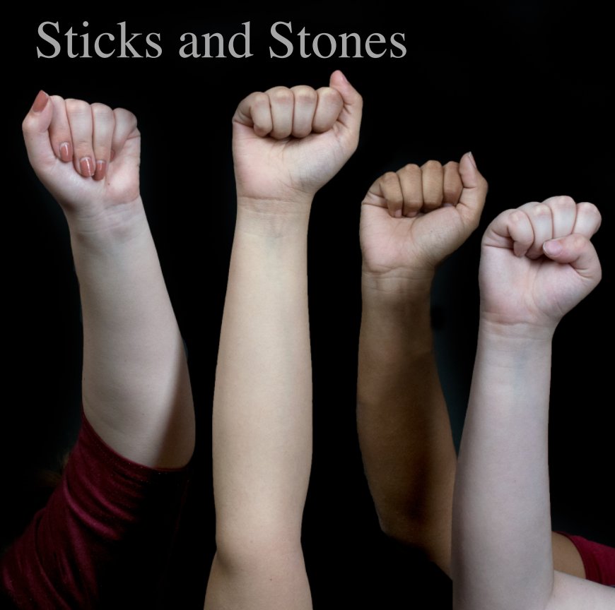 Ver Sticks and Stones por Meghan Attaway