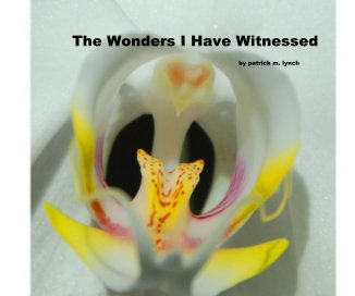 THE WONDERS I HAVE WITNESSED by  patrick m lynch book cover
