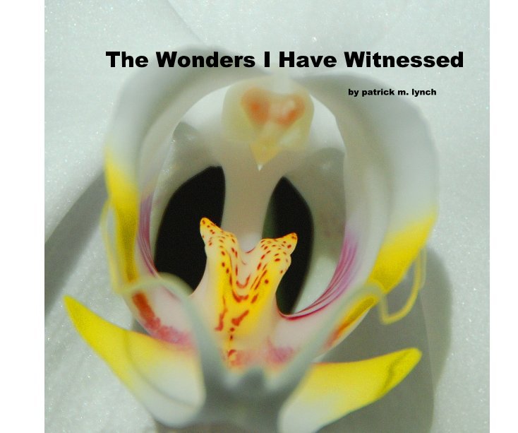 View THE WONDERS I HAVE WITNESSED by  patrick m lynch by patrick m. lynch